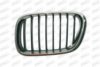 PRASCO BM8202004 Radiator Grille